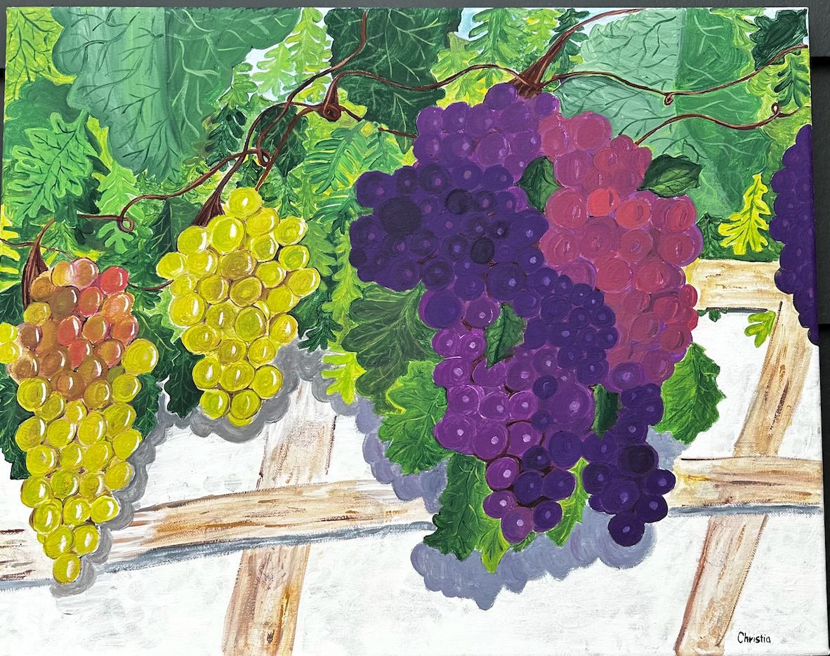 Grapevine painting by Christi
